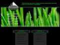 http://blacktigerdesign.hu ismertető oldala